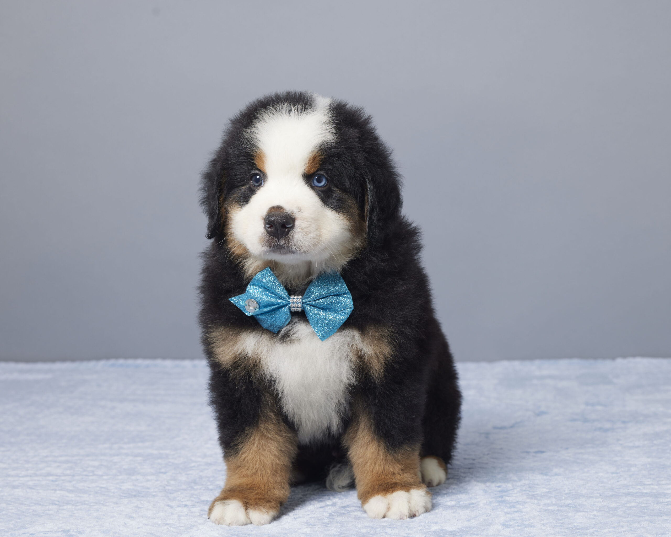 Cooper